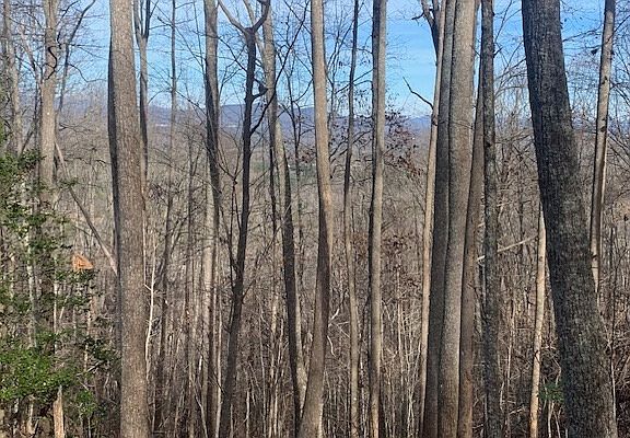 5th image of Lot7b Timber Bnd