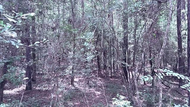 1st image of Pid 15855 County Rd #2775