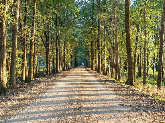 47th image of this home