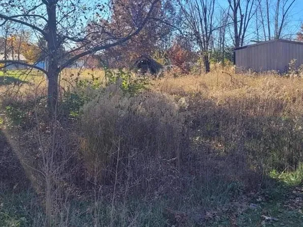 17 Linda Ln, Moscow Mills, MO 63362