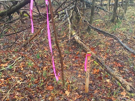 2nd image of 1750 Joe Harris Rd