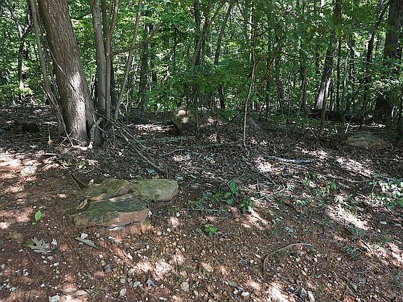 5th image of 0 Horse Mountain Dr