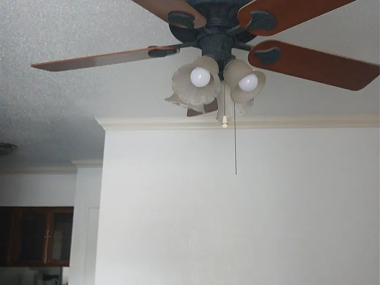 921 Marine Dr #116 — Photo 18
