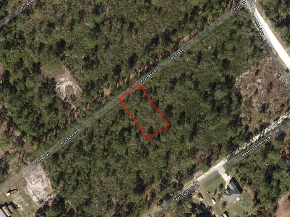 1017 Granger Street, Lake Placid, FL 33852