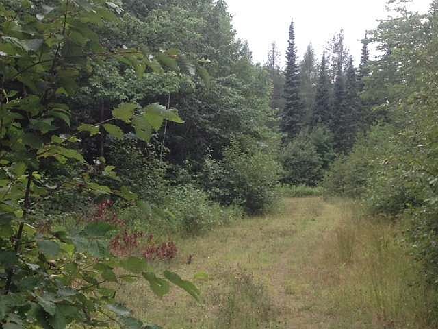 2nd image of O Near Old Highway O