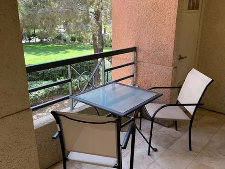 220 E Flamingo Rd #107 — Photo 11