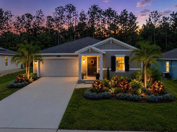 4810 Magnetite Loop, Mount Dora, FL 32757