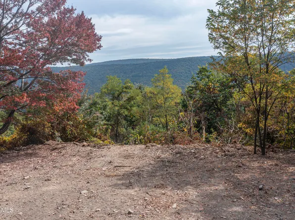 0 Pine Ridge Rd, James Creek, PA 16657