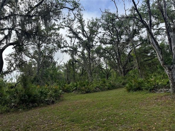 38161 Taylor Rd, Myakka City, FL 34251