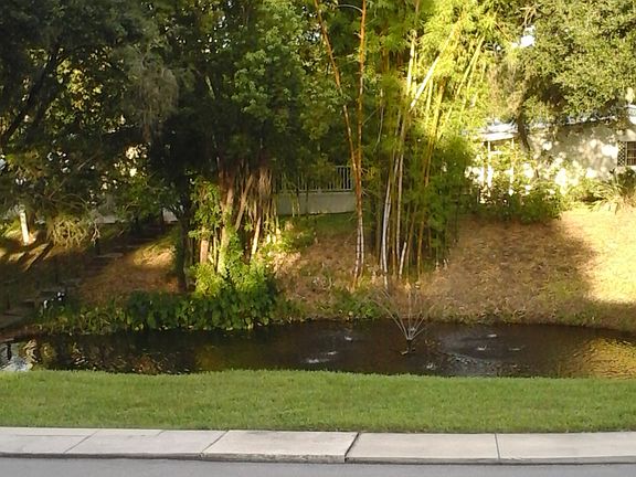 4th image of 3432 State Road 580 Lot 222