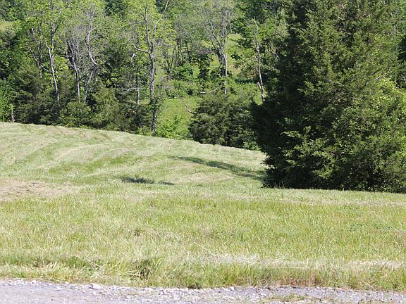 5th image of 32 Elk Chase Dr