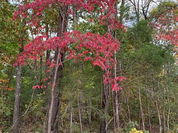 0 Windy Ridge Way, Amherst, VA 24521