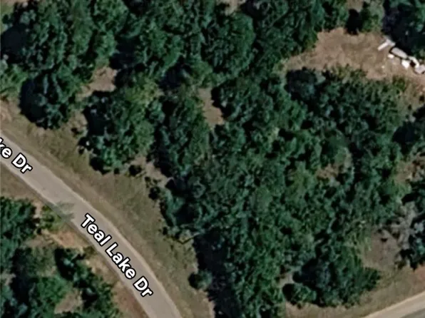 597 Teal Lake Dr, Caldwell, TX 77836