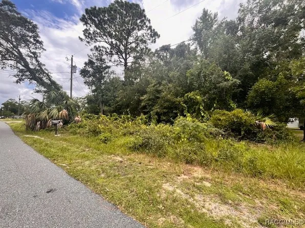 7225 W Porpoise Dr, Homosassa, FL 34446