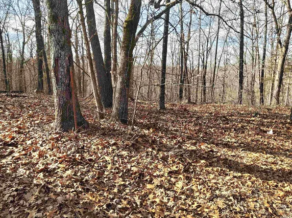 (undisclosed Address), Harrison, AR 72601