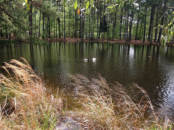 5th image of 54492 Campground Road