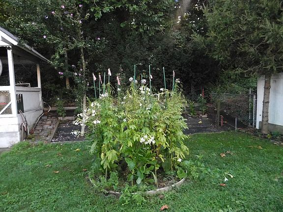 5th image of 6843 Alderton St