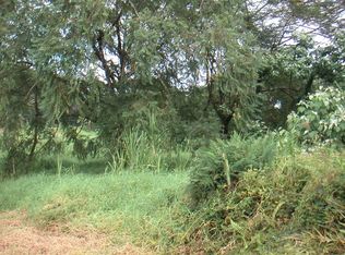 22A Kuaaina Rd LOT 22-A, Kurtistown, HI 96760