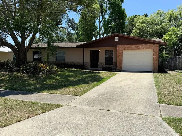 52 Lemon Twist Ln, Pt Orange, FL 32129