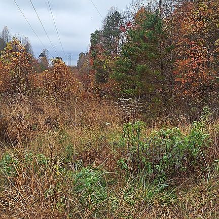 3rd image of 50664A Bald Knob Stiversville Rd