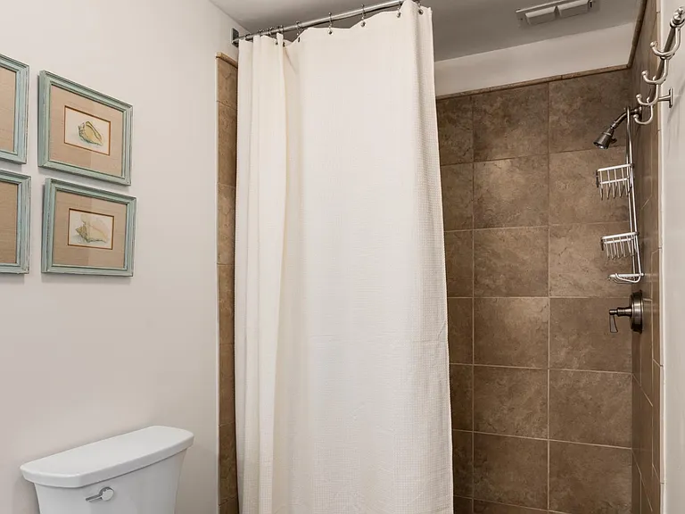 Master Bath walk-in shower