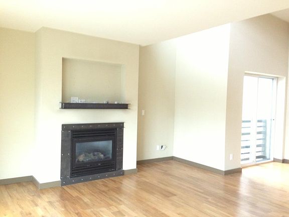 Gas fireplace.