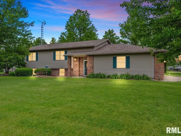 201 Nichols Ln, Loami, IL 62661