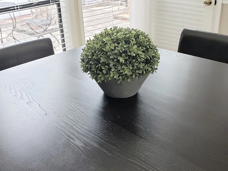 662 Trinidad Ct #662 — Photo 102