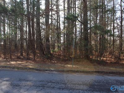 Greenbriar Dr, Henagar, AL, 35978