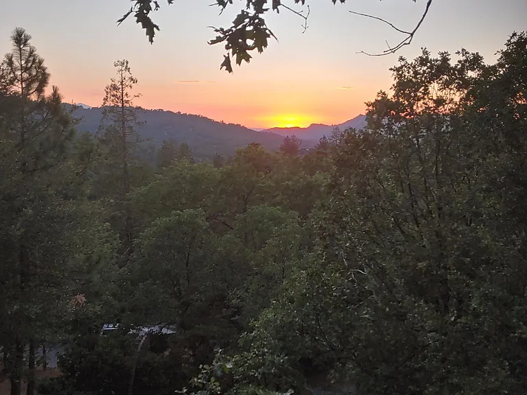 Sequoia Dr — Photo 22