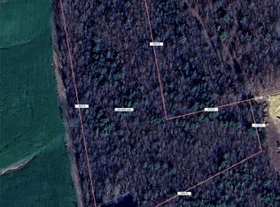 LOT 4 Highway 218, Peachland, NC 28133