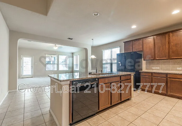 3734 Ox Eye Daisy — Photo 18