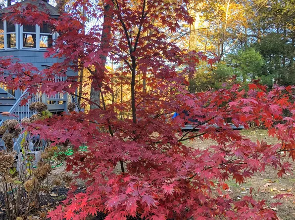 (undisclosed Address), West Simsbury, CT 06092