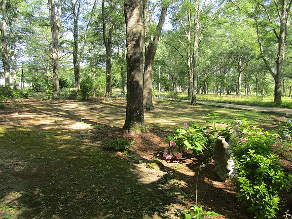 5th image of 62 Martin Oaks Dr