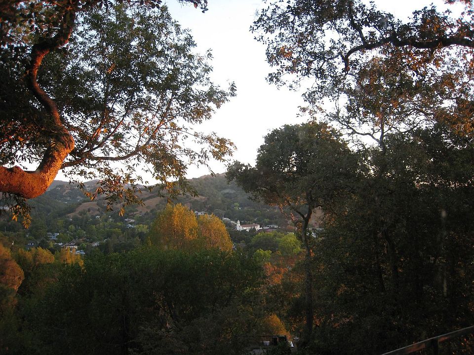 View from the Living Room