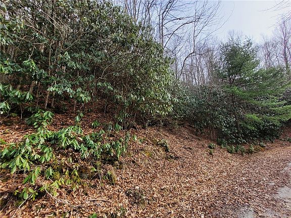 2nd image of 118 Deergrass Road
