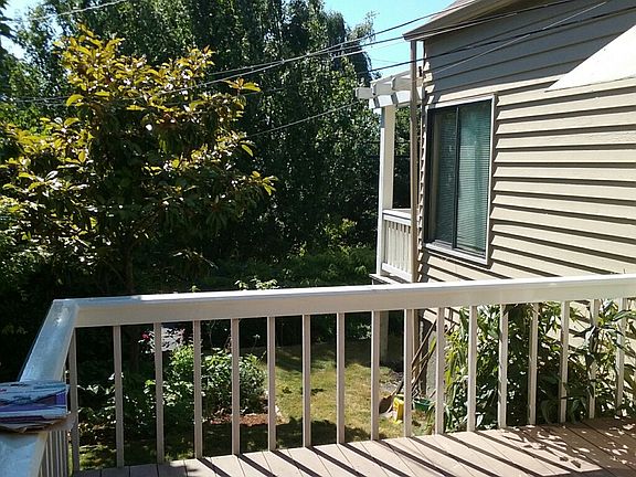 South deck/yard