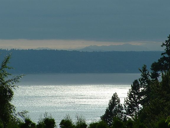 Puget Sound and Olympic Mtns. from Deck