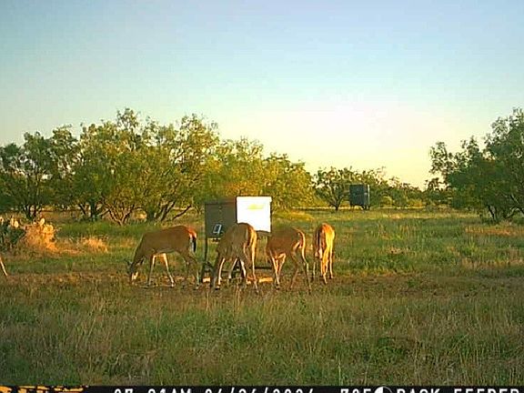 4th image of 5860 County Road 423