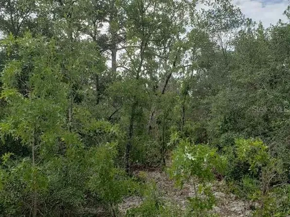 223 18th St, Interlachen, FL 32148