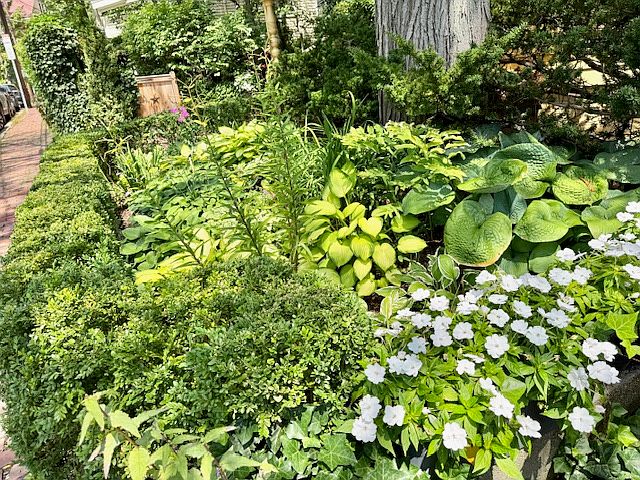 Tended gardens surround property.