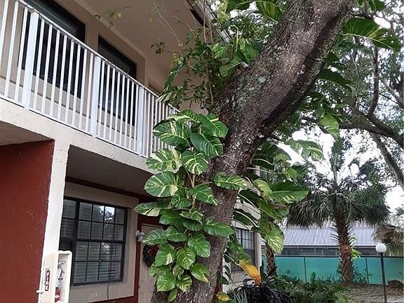 4th image of 2820 Coral Springs Dr