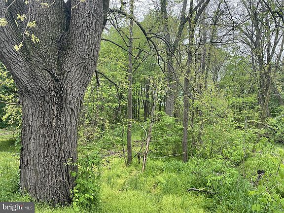 5th image of Black Gap