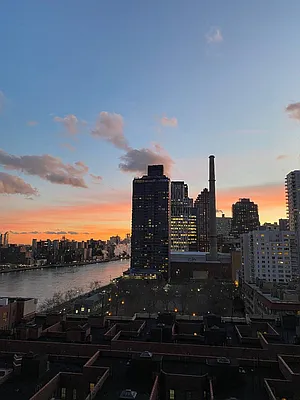 Sold by Douglas Elliman | media 14