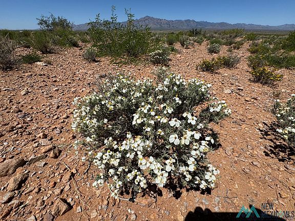 2nd image of Yucca Lane Rd