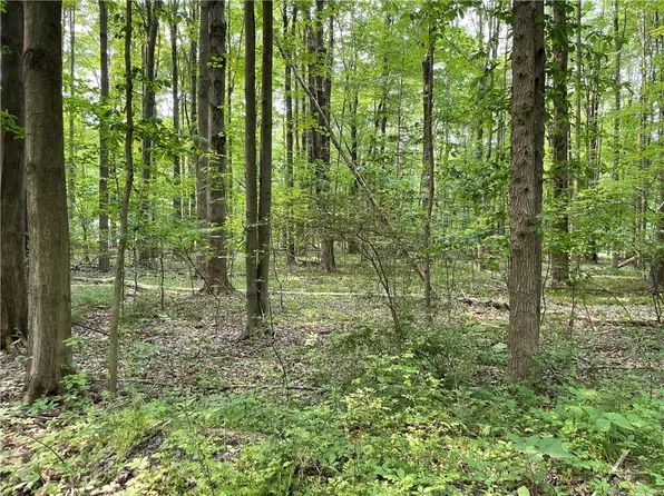 0 Cedar Rd, Linesville, PA 16424