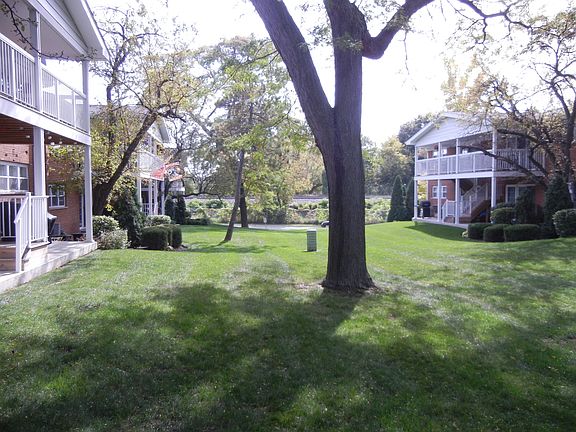 backyard courtyard