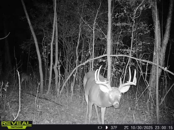 Stark Rd, Harris, MN 55032