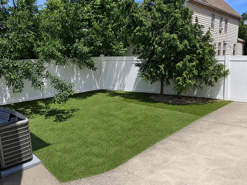 back yard