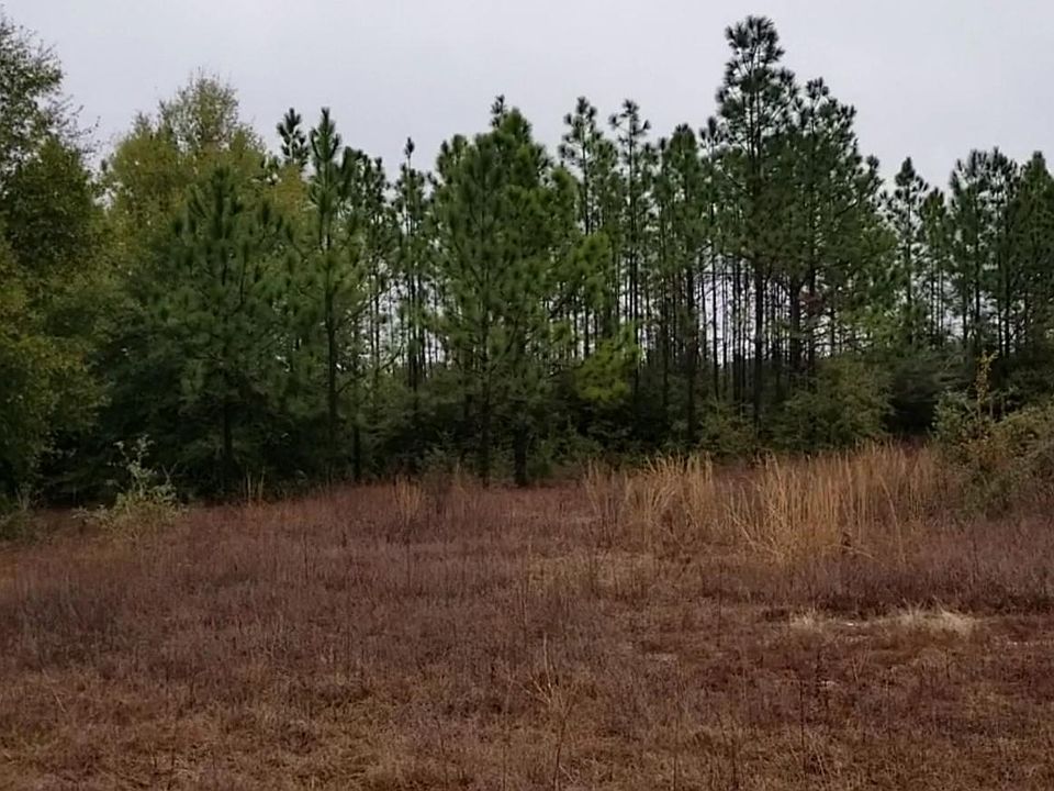 2nd image of 158AC Lake Silver Rd